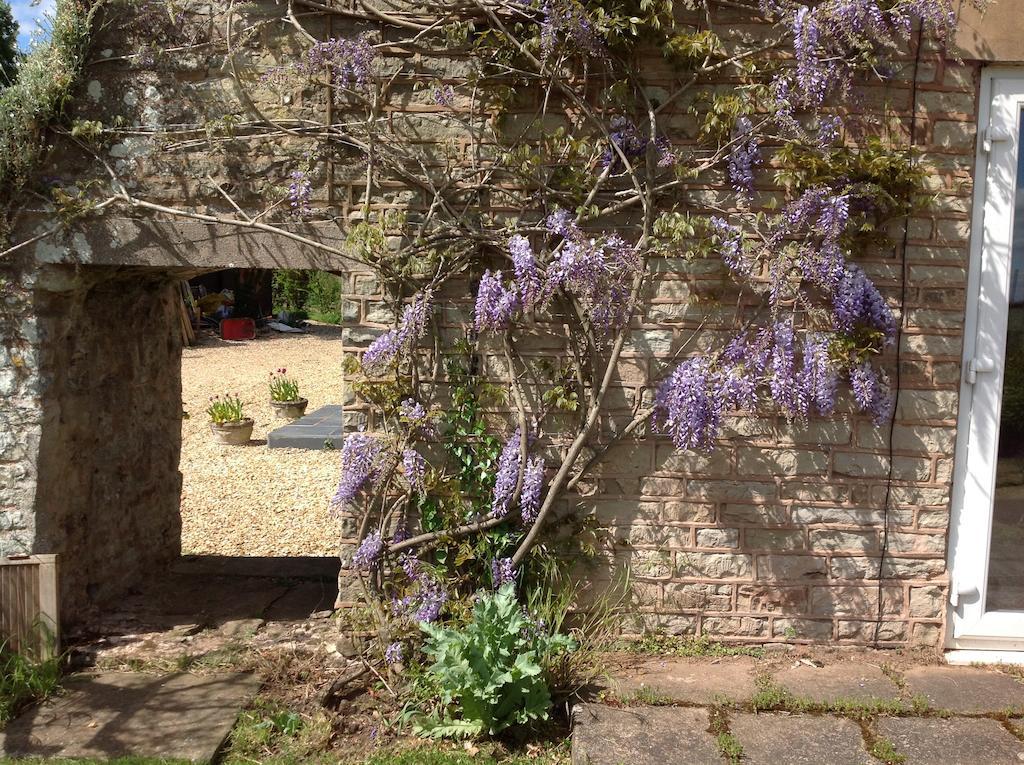 مبيت وإفطار Ross-on-Wye The Coach House المظهر الخارجي الصورة